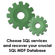 SQL Service